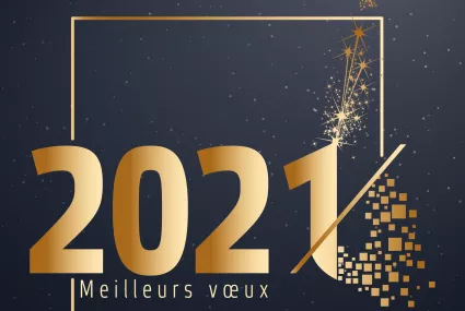Décembre 2020 : Newsletter de l'INASEP // Meilleurs vœux 2021