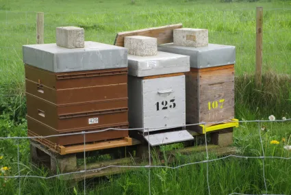 L’INASEP, un acteur engagé pour la biodiversité