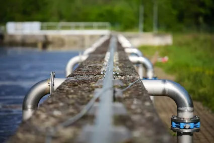  Assainissement : le rôle des bactéries